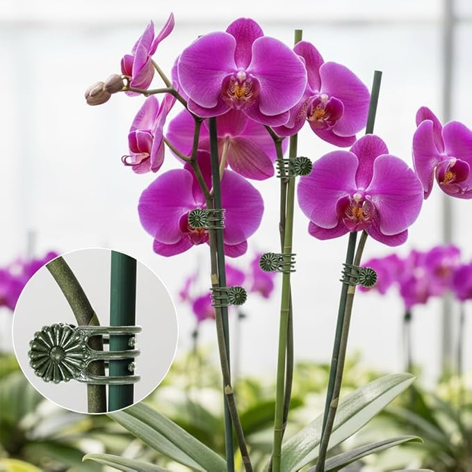 Plant Clips Orchid Clips 200 PCS Plant Clips for Climbing Green Plants Orchid Clips for Plants Support Garden Clips Plant Support Clips Vine Clips Plant Clips for Outdoor Plant Support Stem Vine Stalk
