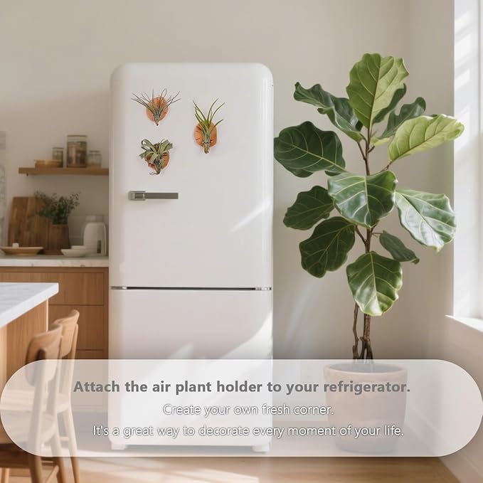 MITIME Magnetic air Plant Holder Refrigerator Sticker, Natural Wood Irregular Shape air Plant Wall Mount Holder. Refrigerator, Wall Decoration.Living Rooms, and Kitchens (Cypress Wood, 6)
