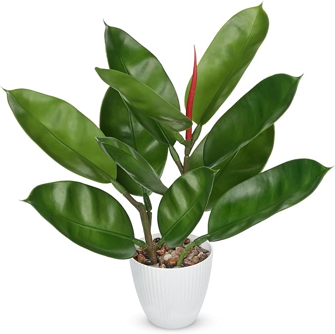 GnFlus Fake Plant Artificial Rubber Tree in White Pot Decor for Home Indoor Tabletop Centerpieces Living Room Bedroom Decoration