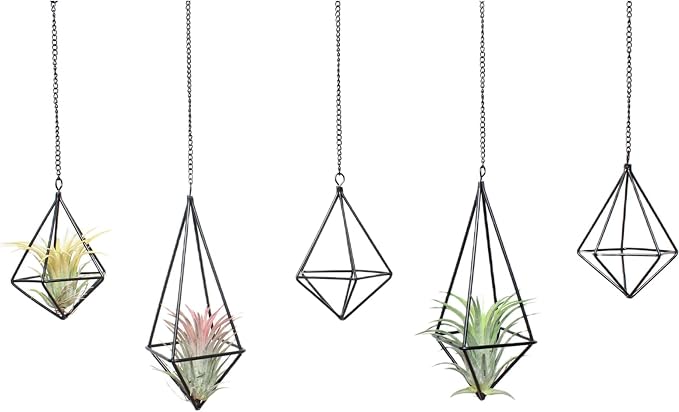 SZRUIZFZ Tillandsia Air Plant Holder Black Geometric Hanging Air Plant Holders Unique for Wall Decor Xerographica Air Plant Hanger for Indoor Decor Himmeli Geometric Decor (5Pcs)