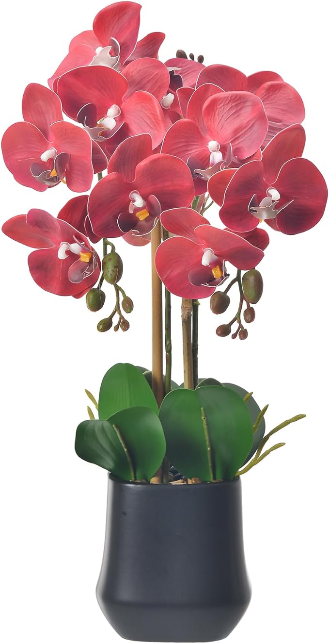 Orchids Artificial Plant in Ceramic Pot 18.5" Faux Orchid Phalaenopsis Flowers Arrangement for Home Office Table Centerpiece Indoor Decor, Red