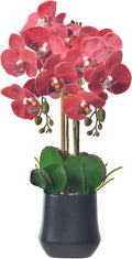 Orchids Artificial Plant in Ceramic Pot 18.5" Faux Orchid Phalaenopsis Flowers Arrangement for Home Office Table Centerpiece Indoor Decor, Red
