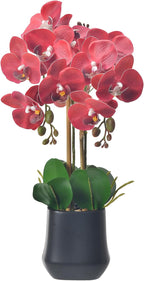 Orchids Artificial Plant in Ceramic Pot 18.5" Faux Orchid Phalaenopsis Flowers Arrangement for Home Office Table Centerpiece Indoor Decor, Red