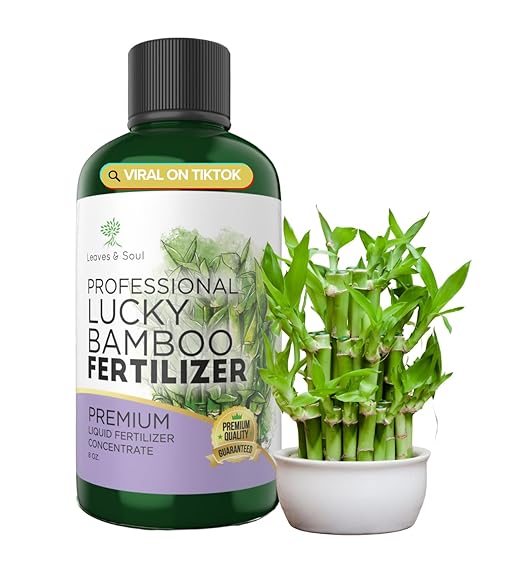 Professional Lucky Bamboo Fertilizer Liquid 3-1-2 Concentrate 8 oz, Premium Bamboo Plant Fertilizer Indoor Liquid, Bamboo Food for Indoor Plants, Fertilizer Made in USA