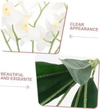 Cabilock Real Touch Artificial Orchids Long Stem Phalaenopsis for Home Decor Butterfly Branches Faux Stems Elegant Orchids Living Fake Flowers Decorative Flower Branches