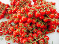 20 Italian Sicilian Ciliegino Cherry Tomato Seeds, Heirloom Non-GMO, Rare, Classic, Indeterminate, Open-Pollinated, Productive, Delicious US Grown Solanum lycoperscium