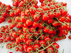 20 Italian Sicilian Ciliegino Cherry Tomato Seeds, Heirloom Non-GMO, Rare, Classic, Indeterminate, Open-Pollinated, Productive, Delicious US Grown Solanum lycoperscium