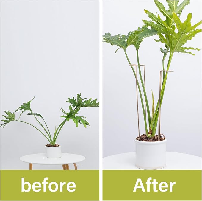 10-Pack Large Indoor Plant Stakes - 15.5-Inch Heavy Duty Metal Supports for Monstera and Outdoor Plants | Ideal for Supporting Tall Plants & Enhancing Garden Displays |