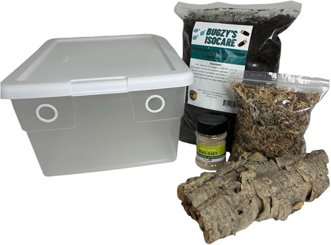 BugzyBugs 16 Quart Bioactive Vivarium Starter Kit All-in-One Accessory & Breeding Setup for Isopods, Crustacean,Springtails, Reptiles & Amphibians