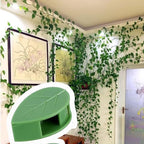 100PCS Plant Climbing Wall Fixture Clips, Plant Fixer Invisible Wall Vines Fixing Clips with Acrylic Adhesive Sticker, Self-Adhesive Hook Plant Vine Support Holder