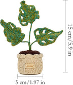 Handmade Crochet Monstera Plant in Pot, Tiny Potted Artificial Plant, Cute Mini Bonsai, Realistic Cotton Yarn Plant, Desk Decor, Gift Idea (2.4 x 2.4 x 5.9 inches)