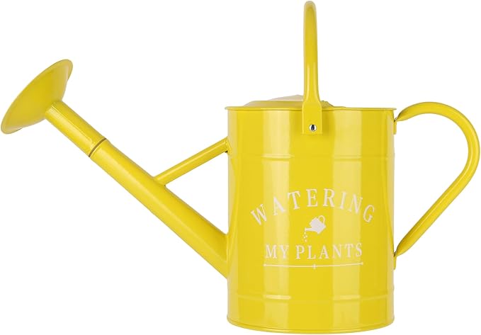 Galvanized Watering Can for Outdoor Indoor Plants, 1 Gallon Decorative Countryside Water Can with Removable Spout, Metal Watering Can for Indoor Plants and Garden Flower (Yellow)