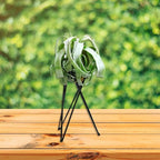 BWESOO White Air Plant Holder Metal Flower Stand Geometric Iron Tillandsia Holder Plant Stands Art Display Home Garden Ornaments Tillandsia Holder
