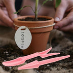Veemoon 12 Sets Succulent Plant Transplanting Tools Garden Hand Tool Kit with Bulb Planter for Bonsai and Succulent Gardening Accessories Pink Plastic for Patio Lawn Use
