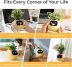 Intelligent Flower Pot, Electronic Bud, Maintenance Plant Assistant, Fun Interactive Flower Pot, Indoor Green Planting Monitoring, LCD Screen Display, Cell Phone APP Connection (Yellow)