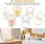 Kakalote 6pcs/pack Air Plant Holders, Geometric Metal Plants Stand Planter Shelves, Airplant Container Tillandsia Holder, Airplants Rack Tabletop Decor for Plant Lovers(cat + spring shape)