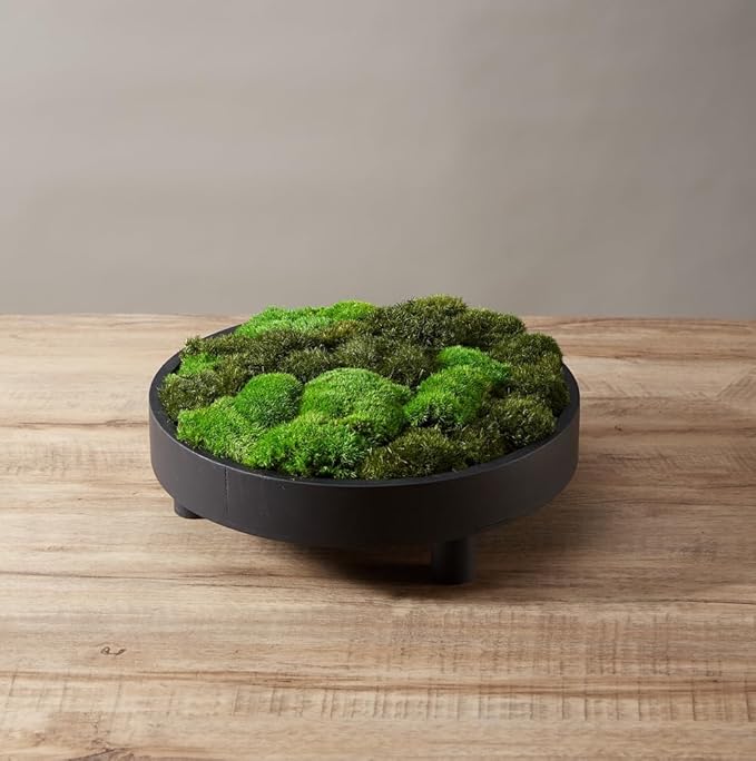 Large Natural Green Decorative Moss Reindeer Vase & Bowl Filler|Preserved Leaves, Ferns, Dried Plant Christmas Wedding Party Decor(Christmas-1)