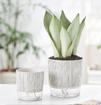 Self Watering Pots for Indoor Plants, Flower Pots, Self Watering Plant Pot-2pcs 4+5.3inch Black Stripes