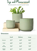 LE TAUCI Ceramic Pots for Plants, 8.3/7/6 Inch Indoor Planters with Drainage Holes & Mesh, Modern Glossy Glaze Cylinder Fluted Plant Pot for Snake Plant, Set of 3, Sage Green