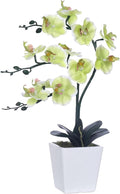 15" Tall Artificial Silk Phalaenopsis Orchid Flower Plant Pot Arrangements (Apple Green)