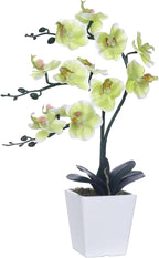15" Tall Artificial Silk Phalaenopsis Orchid Flower Plant Pot Arrangements (Apple Green)