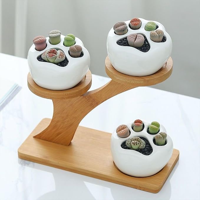 1 Pack Tabletop Plant Stand Indoor Small Windowsill Flower Shelf Bamboo Mini Succulent Windowsill Shelf Bamboo Trayfor Home, Office, Living Room, Bedroom Decoration(Without plant pot)