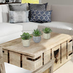 Briful 3 Pack Faux Succulent Plants in Vintage Cement Pots – Artificial Aloe Succulent Decor with Realistic Leaves and Pebble Base – Rustic Mini Plant Set for Home Office Bathroom Bookshelf