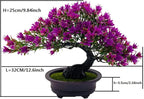 Artificial Plants Greenery Bonsai, Room Decor Fake Bonsai Tree Faux Plants for Home Decor Indoor Bookshelf Office Desk Bathroom Farmhouse Decor, Tall 9.5"