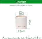 D'vine Dev 4.7 Inch Ceramic Planter Pot with Drainage Hole and Saucer, Indoor Cylinder Round Planter Pot, Oatmeal, 94-O-B-8