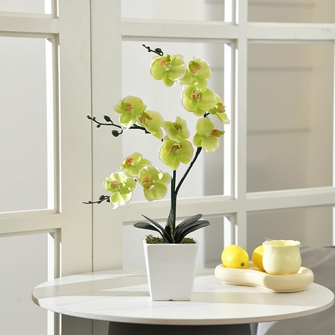 15" Tall Artificial Silk Phalaenopsis Orchid Flower Plant Pot Arrangements (Apple Green)