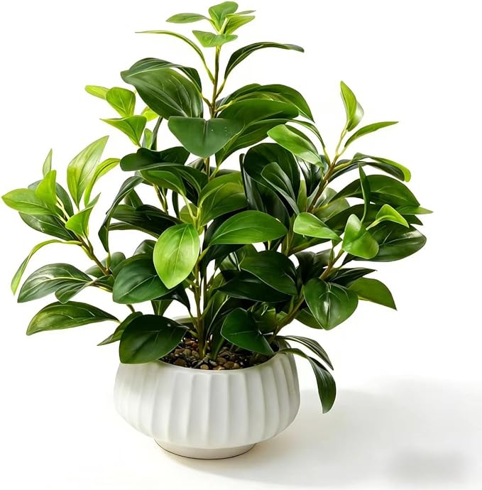 Artificial Peperomia Plant 16.5” Tall Lifelike Faux Greenery in 6” White Ribbed Ceramic Pot Realistic Indoor Fake Branches for Home Office Desk Shelf Bathroom Bedroom Farmhouse Decor