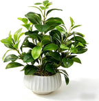 Artificial Peperomia Plant 16.5” Tall Lifelike Faux Greenery in 6” White Ribbed Ceramic Pot Realistic Indoor Fake Branches for Home Office Desk Shelf Bathroom Bedroom Farmhouse Decor