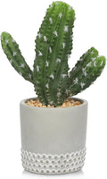 DILATATA 13' Small Fake Cactus Plant Potted 'San Pedro Cactus' Faux Cacti for Home Garden Office Decor Housewarming Gifts