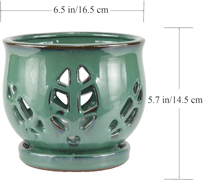 W&W Orchid Pot with Holes and Saucer for Repotting, Green, 6.5"