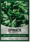 Gardeners Basics, Bloomsdale Spinach Seeds for Planting is A Great Heirloom, Non-GMO Vegetable Variety- Great for Indoor, Outdoor and Hydroponics Gardening