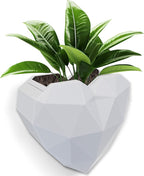 Heart Self Watering Planter | Indoor Wall Planters for Indoor Plants | Vertical Succulent Wall Planters | Create A Wall Garden Without Drilling (White)