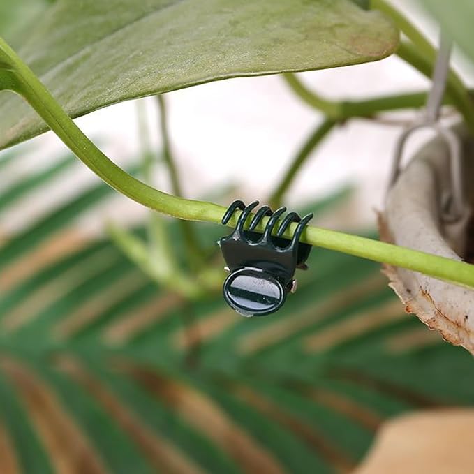 30 pcs Plant Clips, Orchid Clips Plant Orchid Support Clips Flower and Vine Clips for Supporting Stems Vines Grow Upright Dark Green