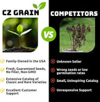 30 Mountain Juniper Bonsai Tree Seeds – Highly Prized, Collector’s Favorite, Easy-to-Grow Miniature Juniper Trees for Home, Garden & Bonsai Enthusiasts