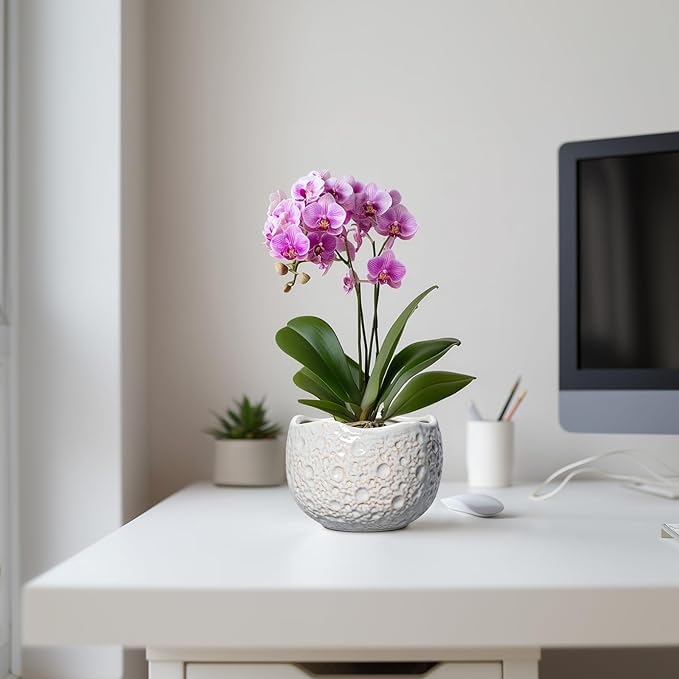 Ceramic Plant Pots 6 Inch - Ceramic Orchid Pot with Drainage Hole and Plug, Unique Pots for Plants Indoor Outdoor, Decorative Modern Planter, Living Room Decor, Plant Lovers Gifts, Grey