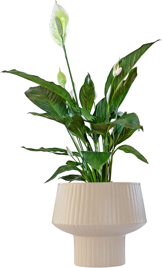 Wide Top Modern Handmade Metal Indoor Planter with Unique Shape, Vertical Grooved Design and Anti-Scratch Pads, Rust-Resistant Finish that is Sustainable Non-Plastic Pot Recyclable Metal Vase (White)