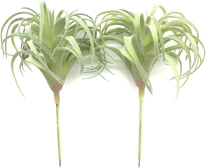 2 PCS Artificial Succulents Plants Real Touch Lifelike Succulants Plants Faux Greenery Plants Garden DIY Home Office Decoration Ornament (Flocking Air Plant)