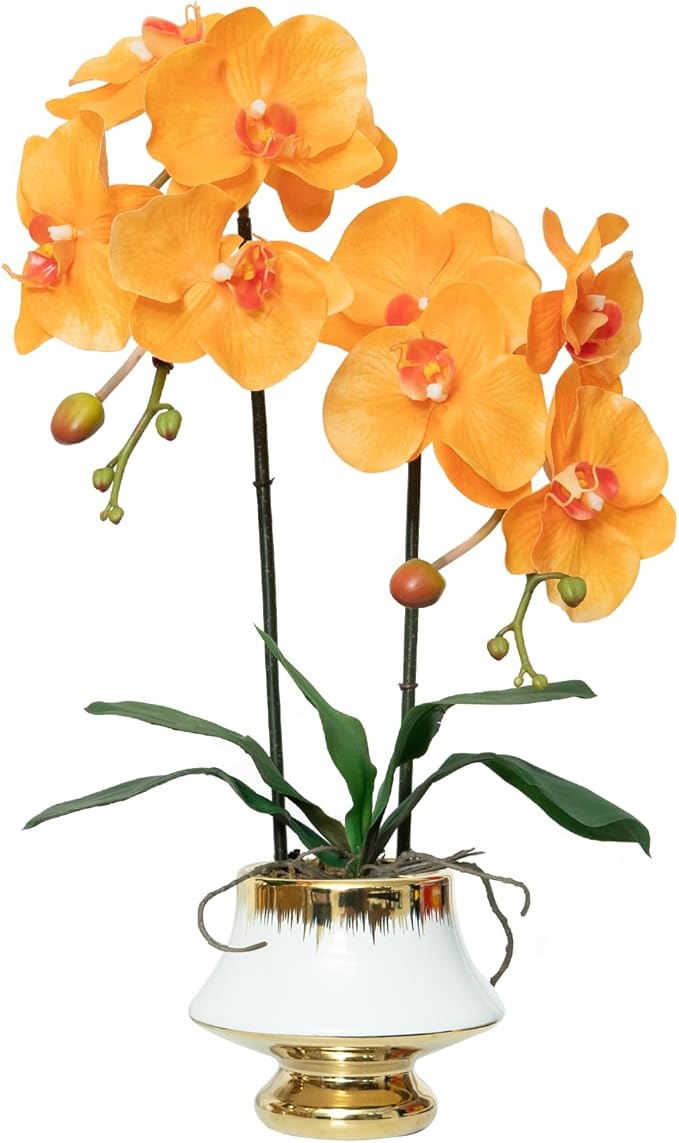 CXGS Orchids Artificial Flowers Realistic Fake Flowers in Ceramic Vase 20" Orange Faux Plants Indoor Lifelike Soft PU Phalaenopsis for Centerpiece Hotel Home Decor