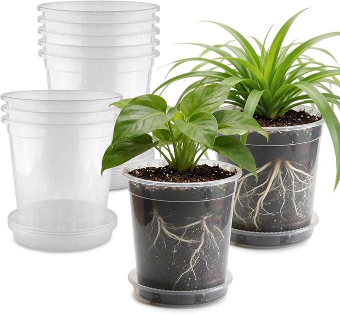 BTPLASTIK 1 Gallon Clear Nursery Pots with Saucers 10P, 6.5 Inch Round Plastic Plant Pots with Drainage Holes