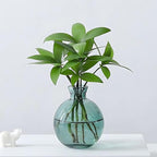 Plant Propagation Station Propagation Vases for Plants Glass Terrariums Vases Bulb with Wooden Stand for Hydroponic Water Plants Indoor, Office Decor Desk Accessories (Green)