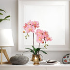 CXGS Orchids Artificial Flowers Realistic Fake Flowers in Ceramic Vase 20" Pink Faux Plants Indoor Lifelike Soft PU Phalaenopsis for Centerpiece Hotel Home Decor
