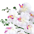 15" Tall Artificial Silk Phalaenopsis Orchid Flower Plant Pot Arrangements (White)