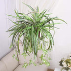5 Packs Artificial Spider Plant Silk Faux Chlorophytum Comosum Fake Spider Hanging Plant for Outdoor Indoor Home Garden Office Decoreation