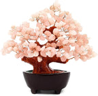 Colorsheng 7 Inch Quartz Crystal Money Tree Bonsai Feng Shui Gem Decoration for Wealth and Luck (Pink)
