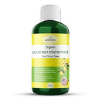 GARDENWISE Organic Premium Kelp Seaweed Fertilizer: All-in-One Citrus Tree Fertilizer for Meyer Lemon, Lime, and Other Fruiting Trees - Liquid Plant Food for Potted & Outdoor Citrus Trees (32 OZ)