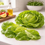 Buttercrunch Lettuce Seeds – Soft Butterhead Leaves, Compact Loose Heads for Home Gardens, Raised Beds & Containers